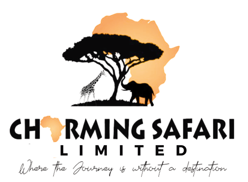 Charming Safariz Ltd